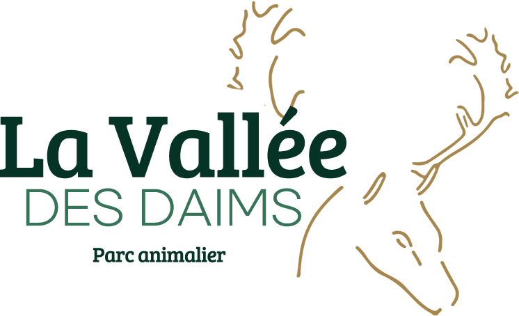 logo pied de page
